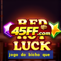 jogo do bicho que paga no pix